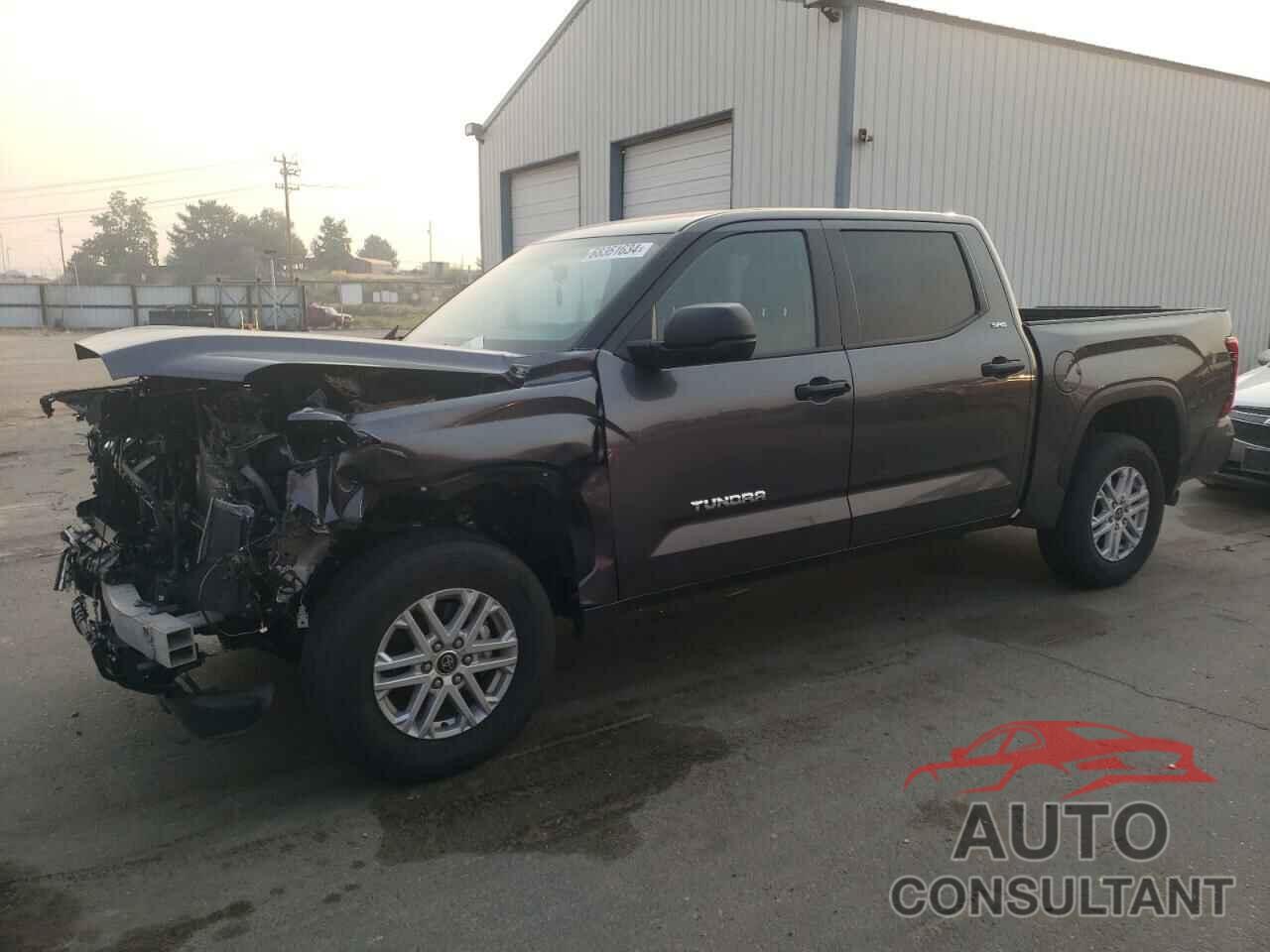 TOYOTA TUNDRA 2023 - 5TFLA5DB3PX094301