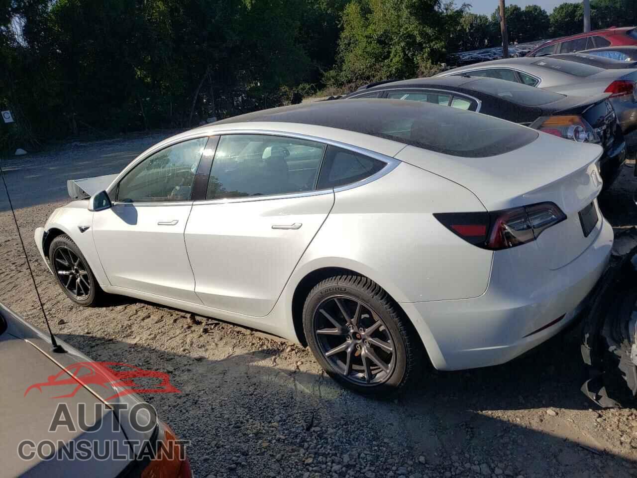TESLA MODEL 3 2020 - 5YJ3E1EA3LF505039