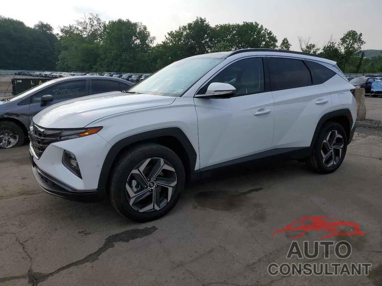 HYUNDAI TUCSON 2024 - KM8JECD14RU219118