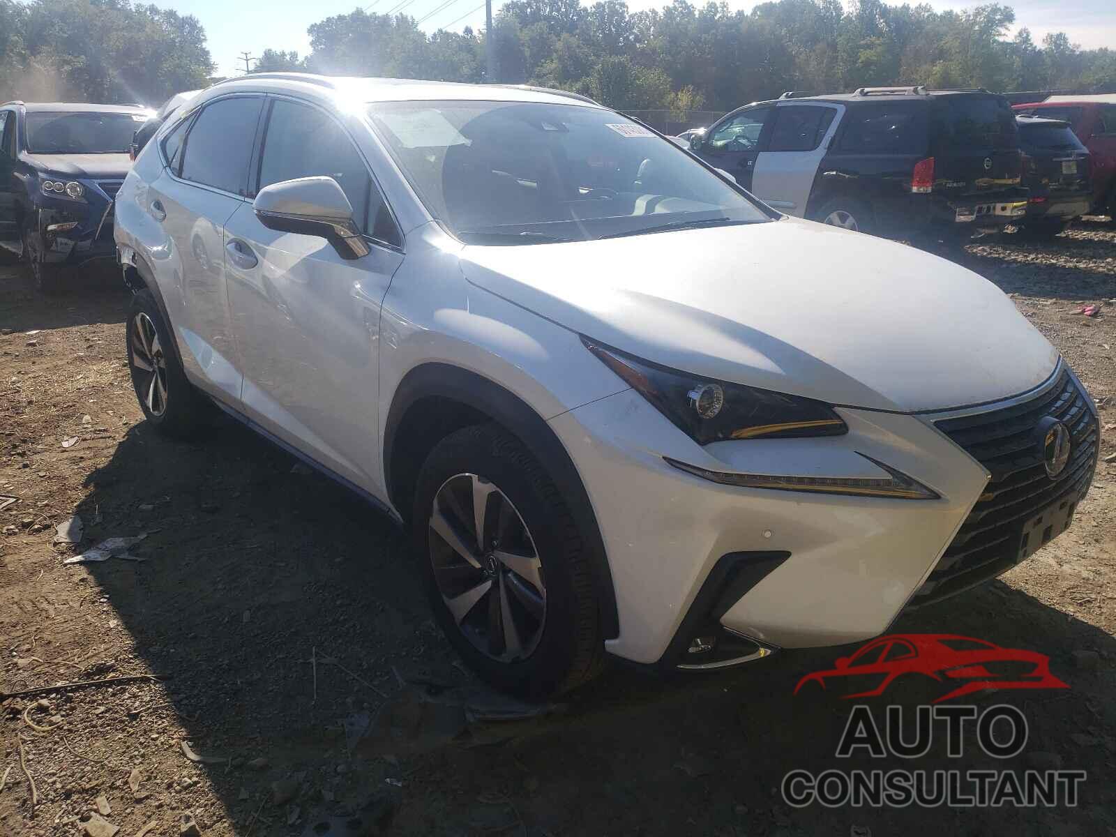 LEXUS NX 2020 - JTJGARDZ6L5016412