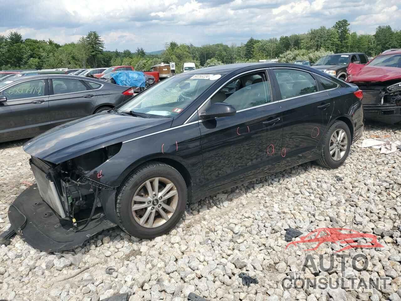 HYUNDAI SONATA 2016 - 5NPE24AF9GH385484