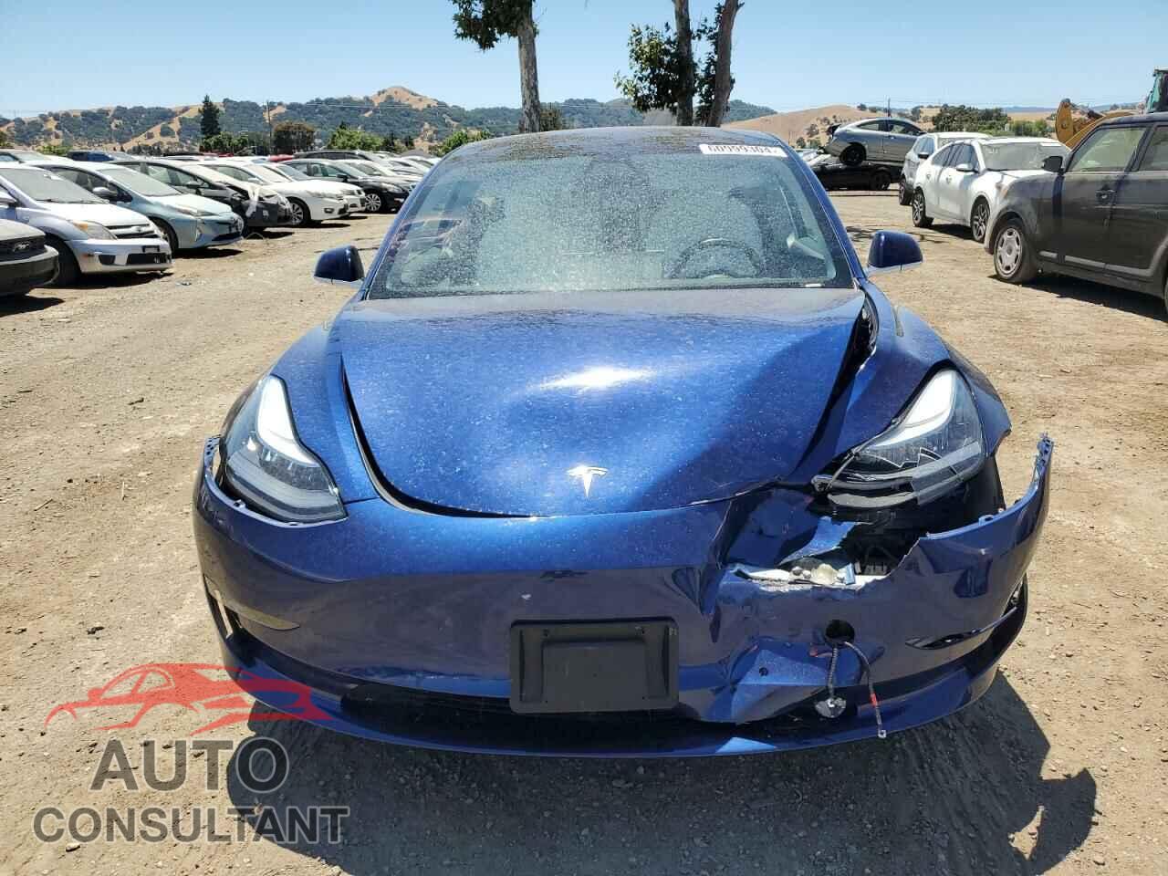 TESLA MODEL 3 2019 - 5YJ3E1EA3KF345503