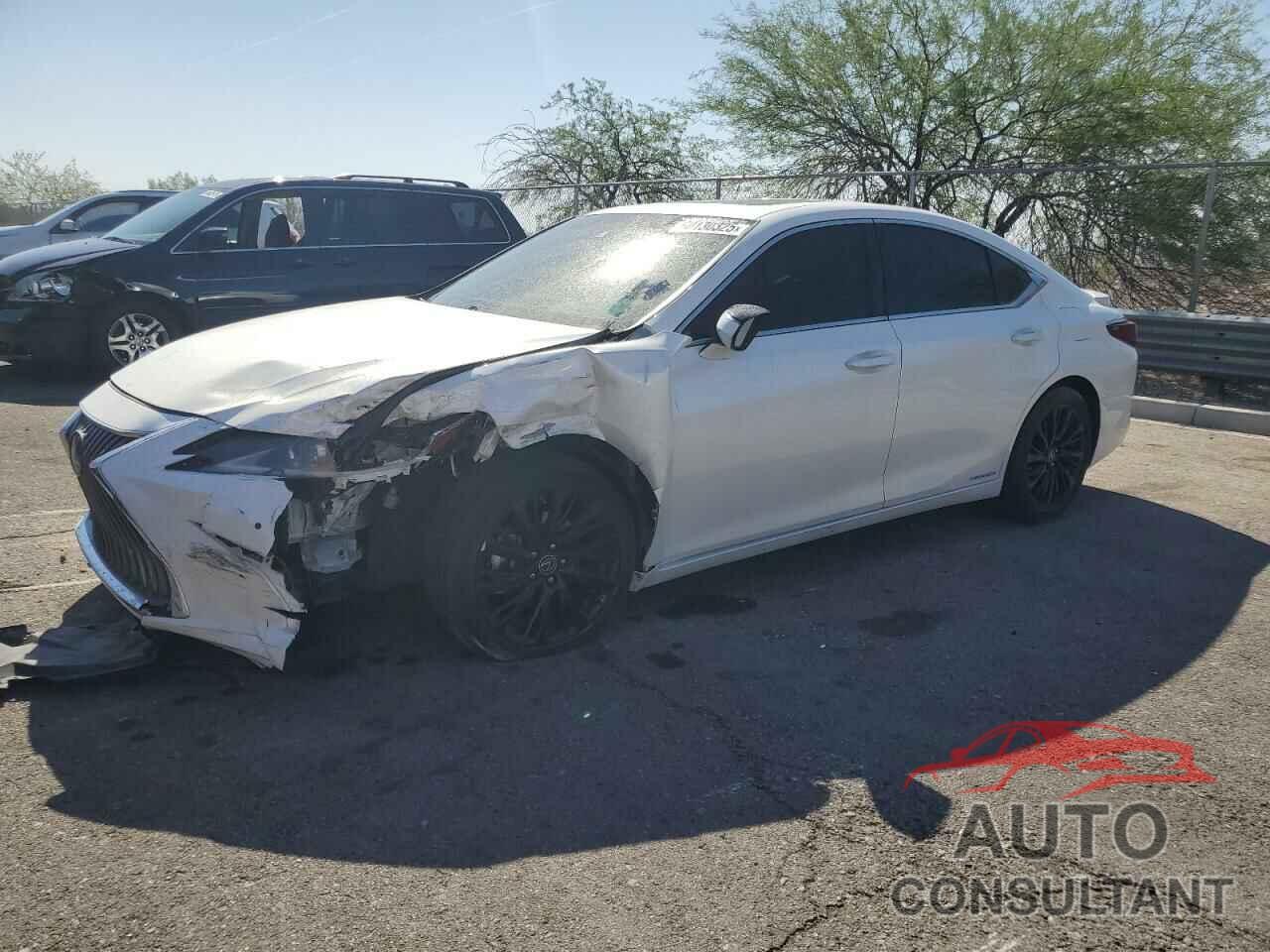 LEXUS ES300 2020 - 58AD21B10LU007586