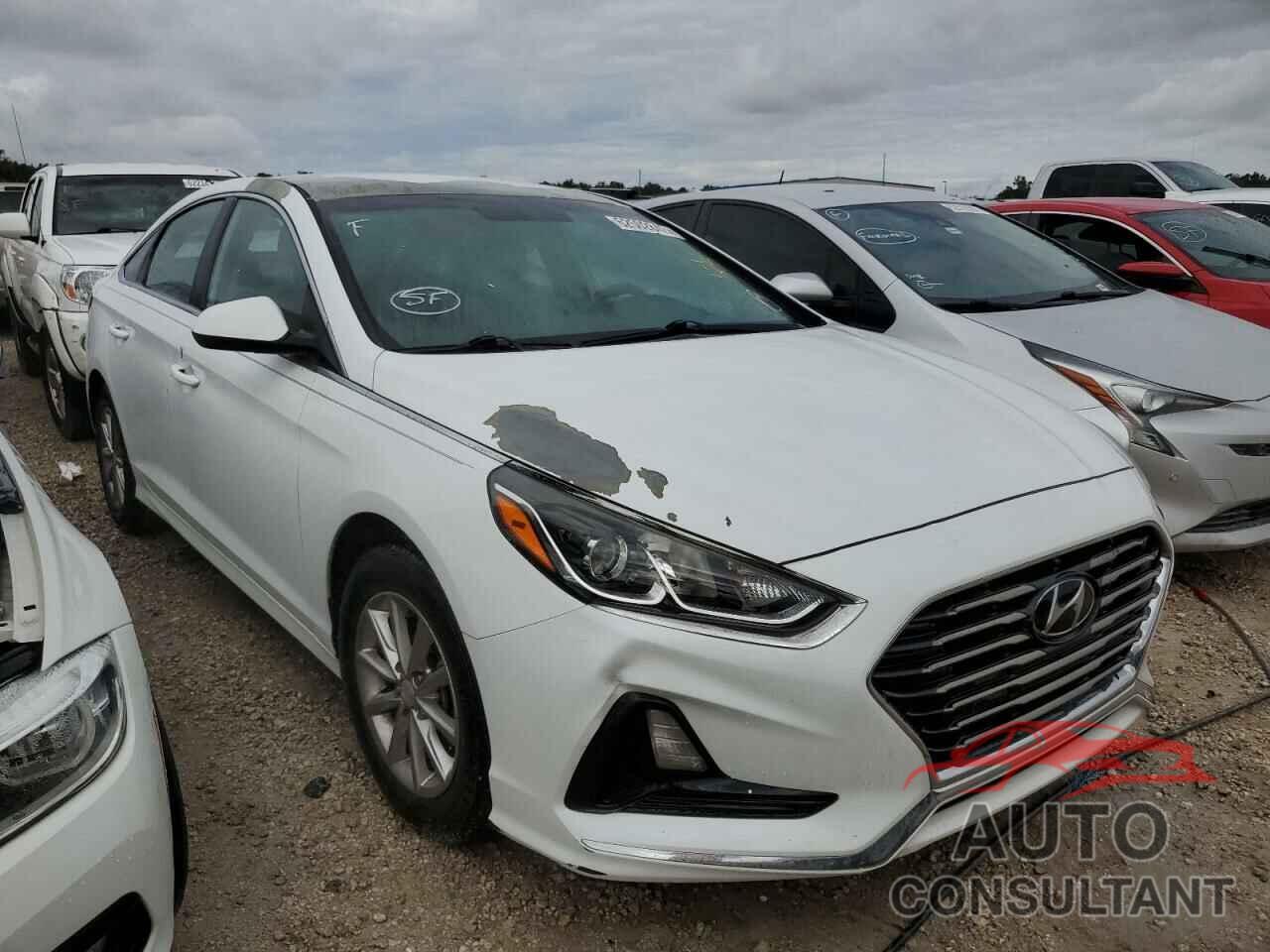 HYUNDAI SONATA 2018 - 5NPE24AF7JH696208
