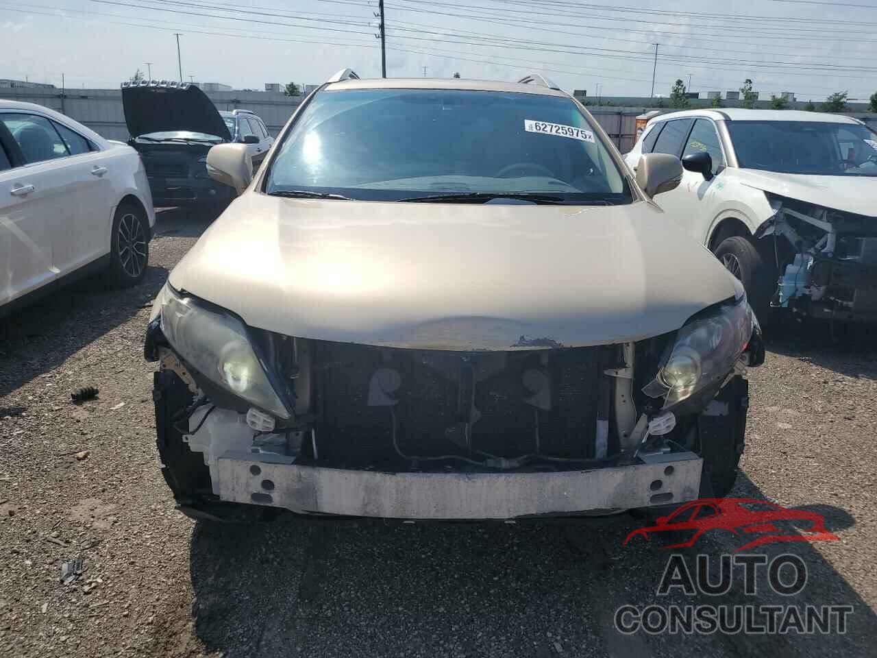 LEXUS RX350 2010 - 2T2BK1BA0AC031413