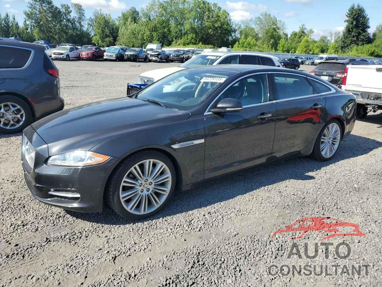 JAGUAR XJ 2013 - SAJWJ2GD0D8V44454