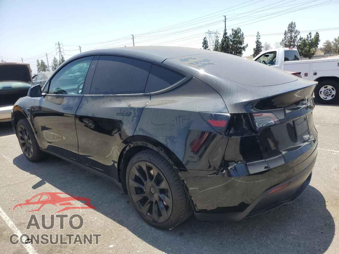 TESLA MODEL Y 2024 - 7SAYGAEE5RF066053