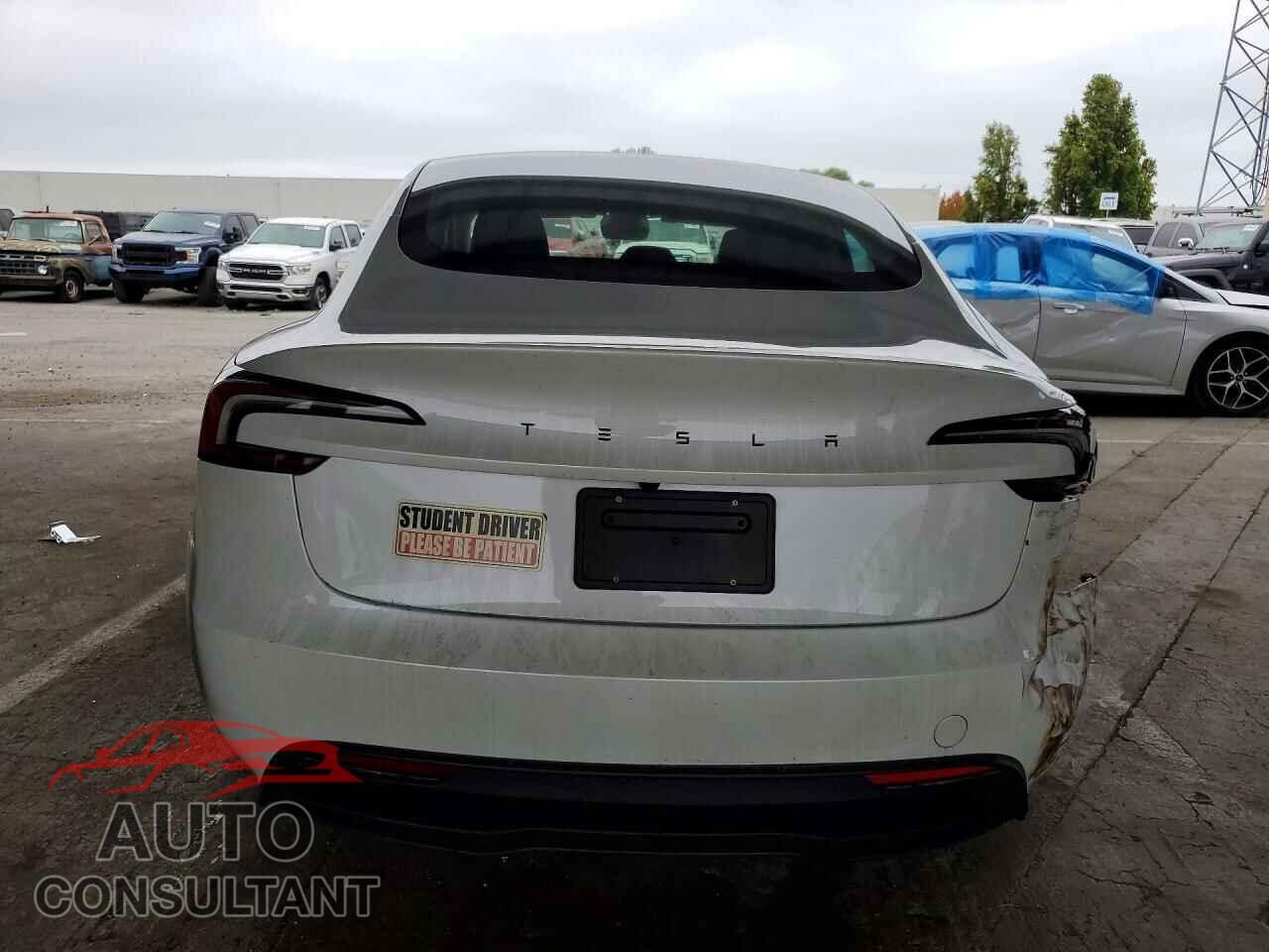TESLA MODEL 3 2025 - 5YJ3E1EA8SF123121