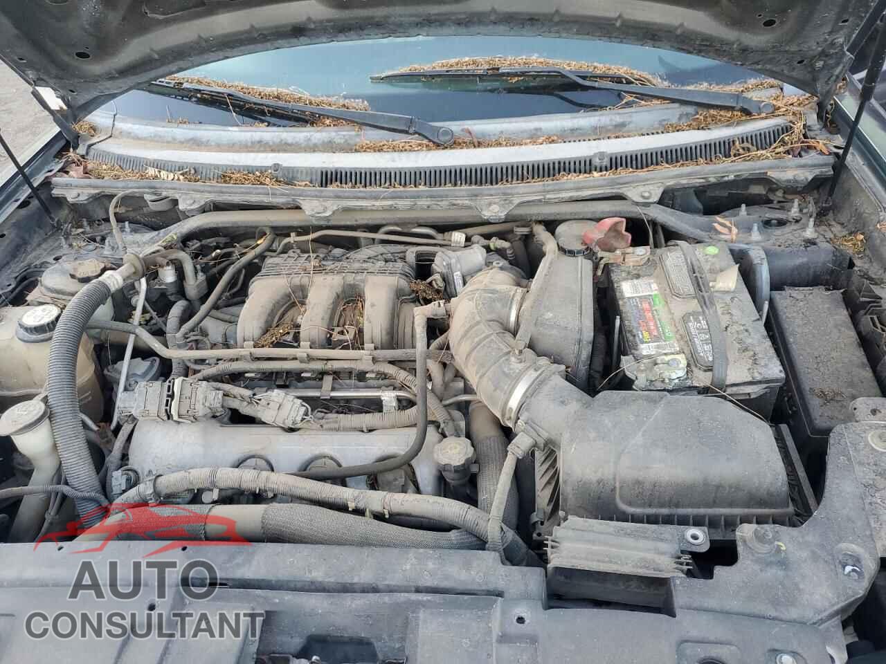 FORD FLEX 2009 - 2FMDK52C49BA15656