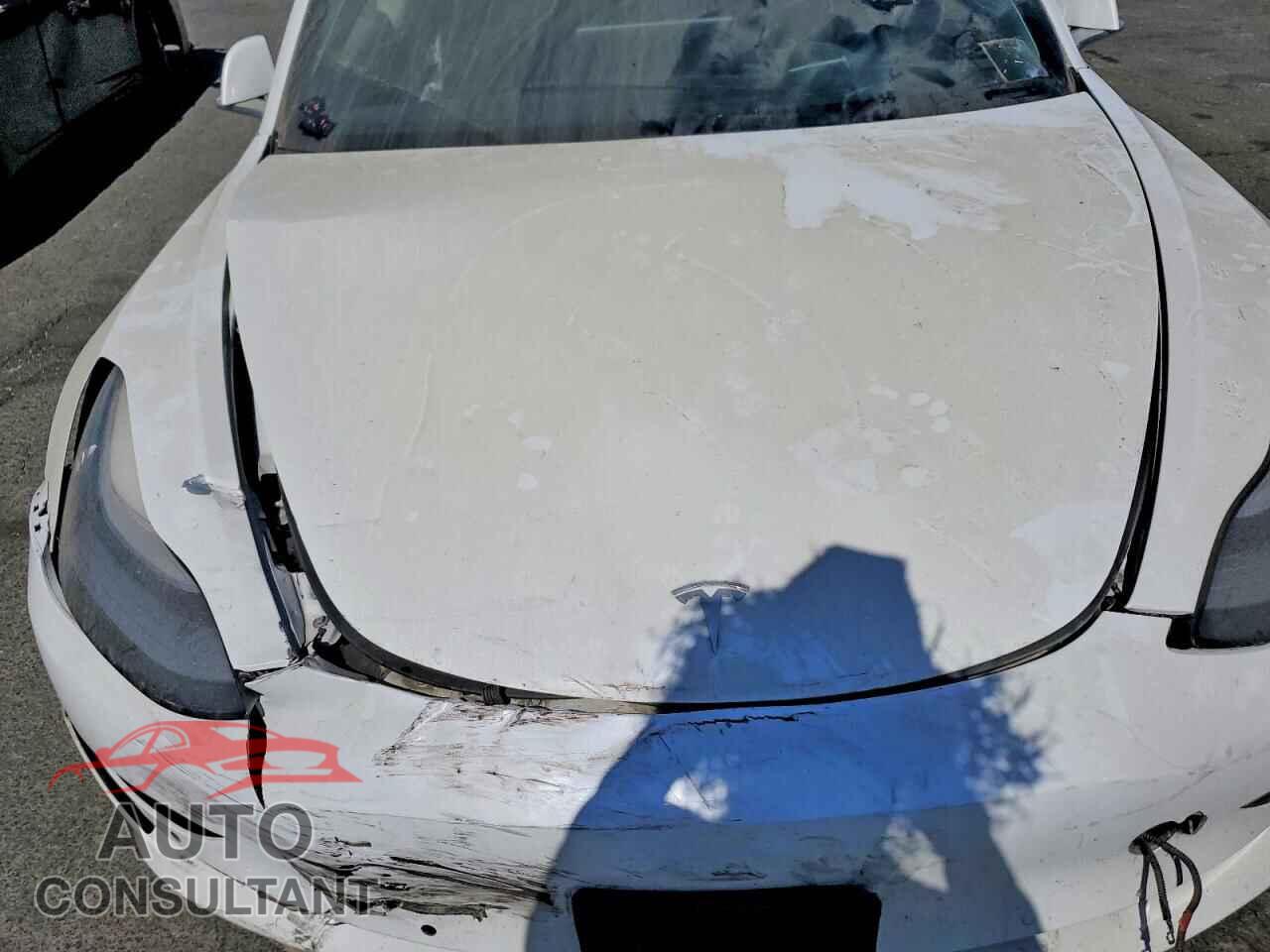 TESLA MODEL 3 2019 - 5YJ3E1EA2KF447567