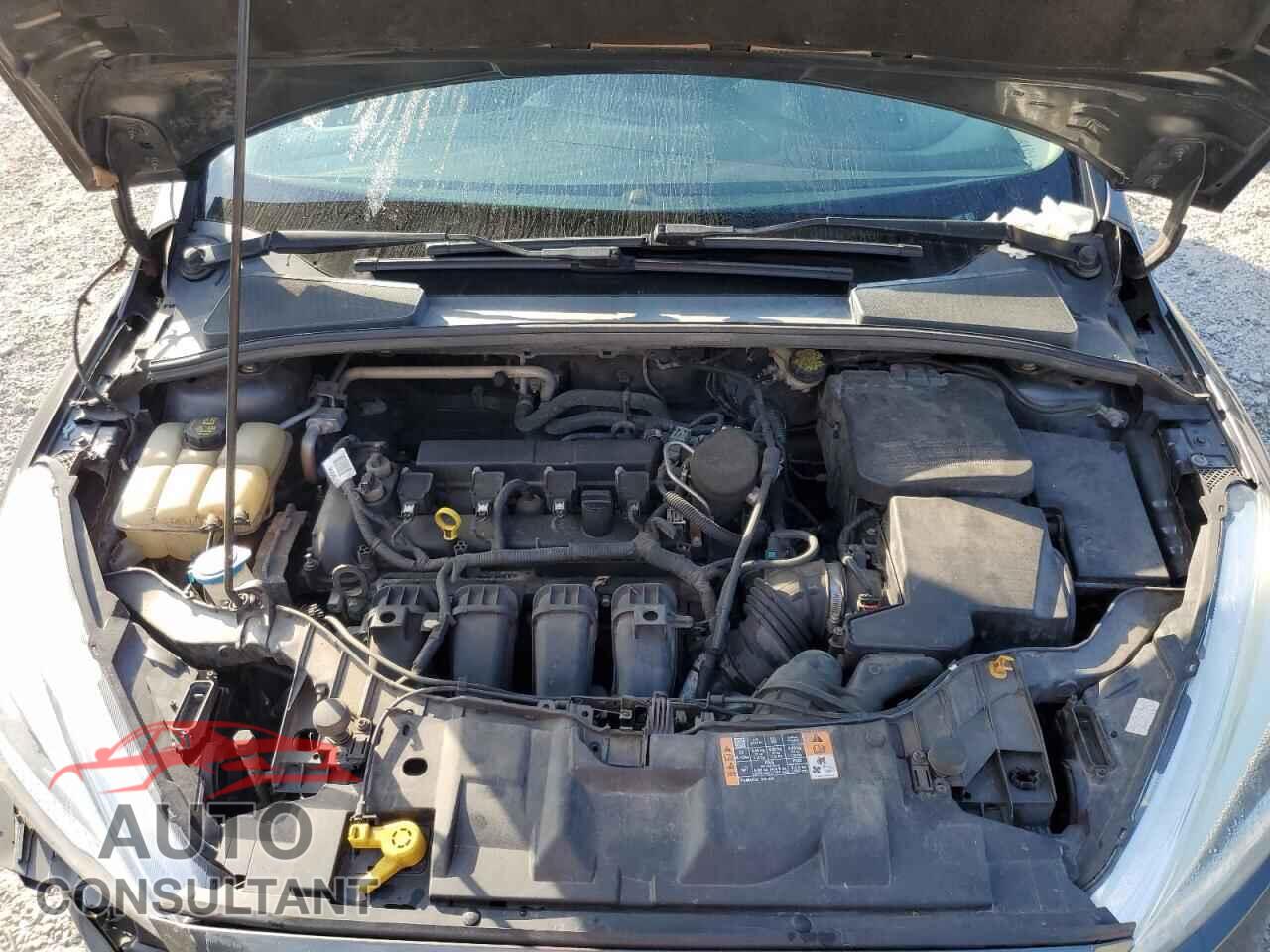 FORD FOCUS 2016 - 1FADP3E20GL233531