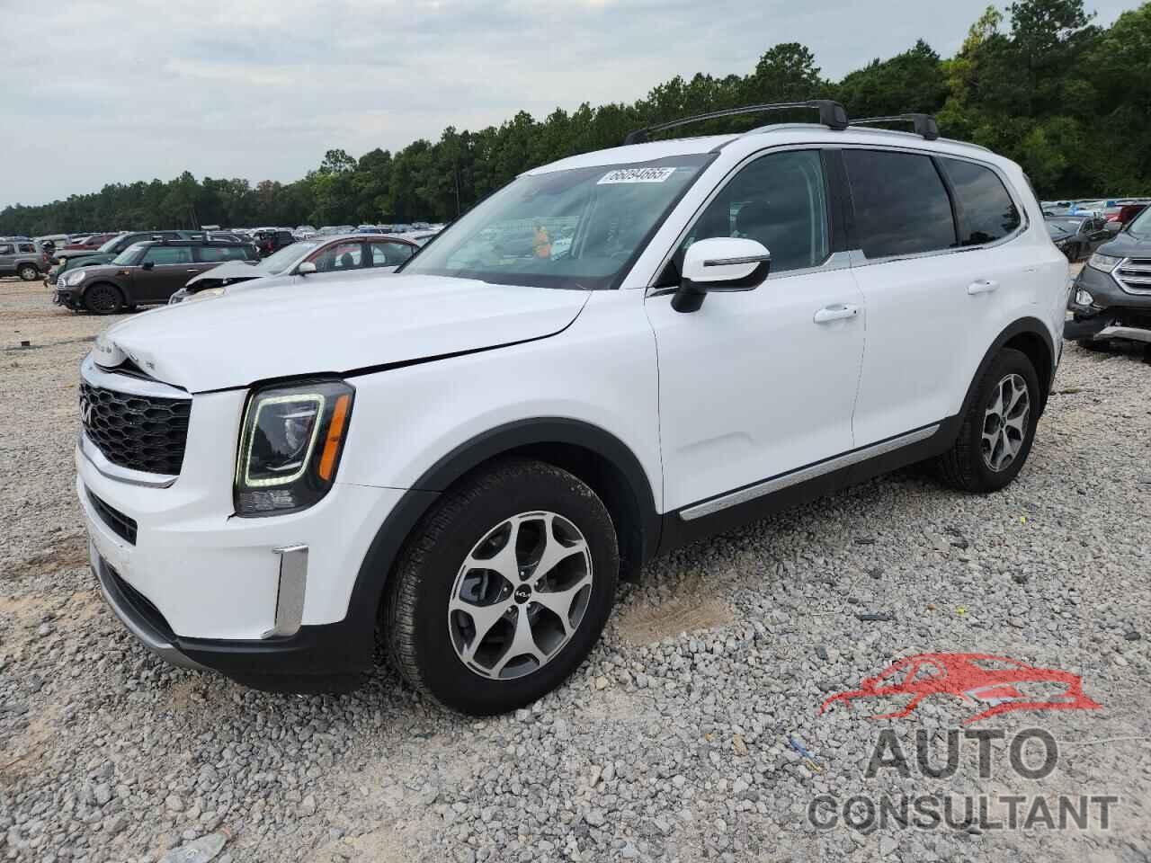 KIA TELLURIDE 2022 - 5XYP34HC4NG276663
