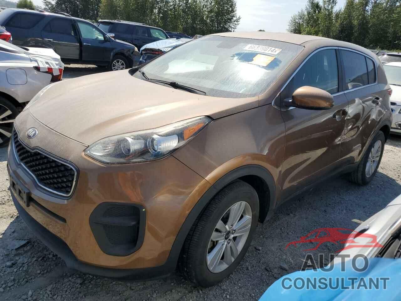 KIA SPORTAGE 2017 - KNDPM3AC1H7061650