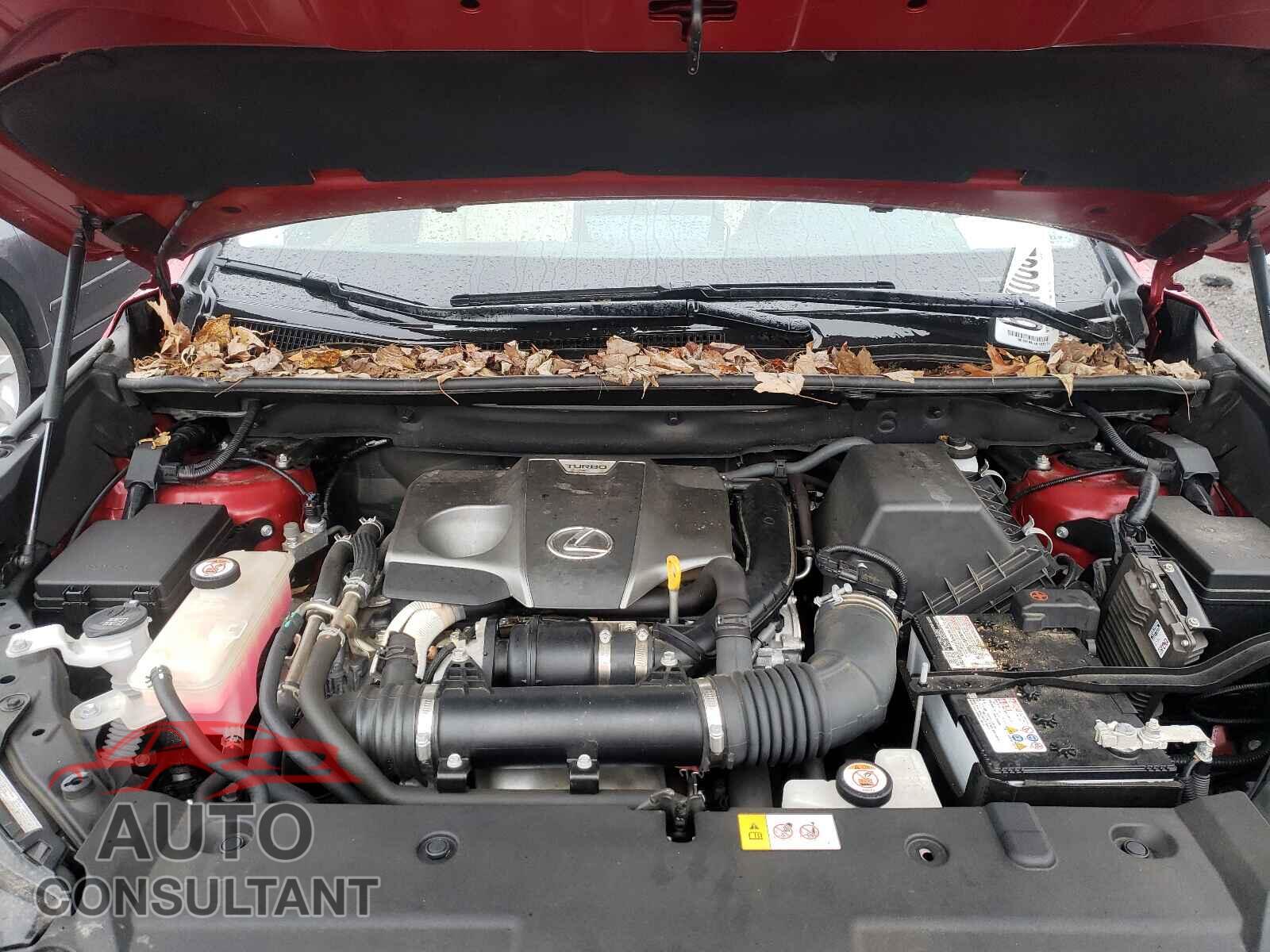 LEXUS NX 2019 - JTJBARBZ4K2188564