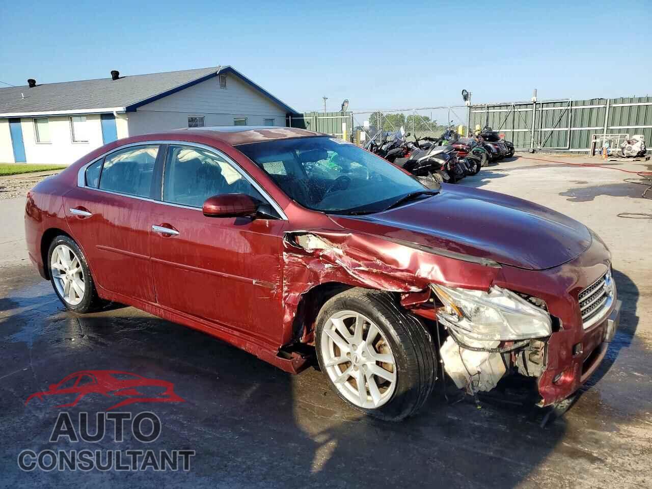 NISSAN MAXIMA 2011 - 1N4AA5AP1BC801683