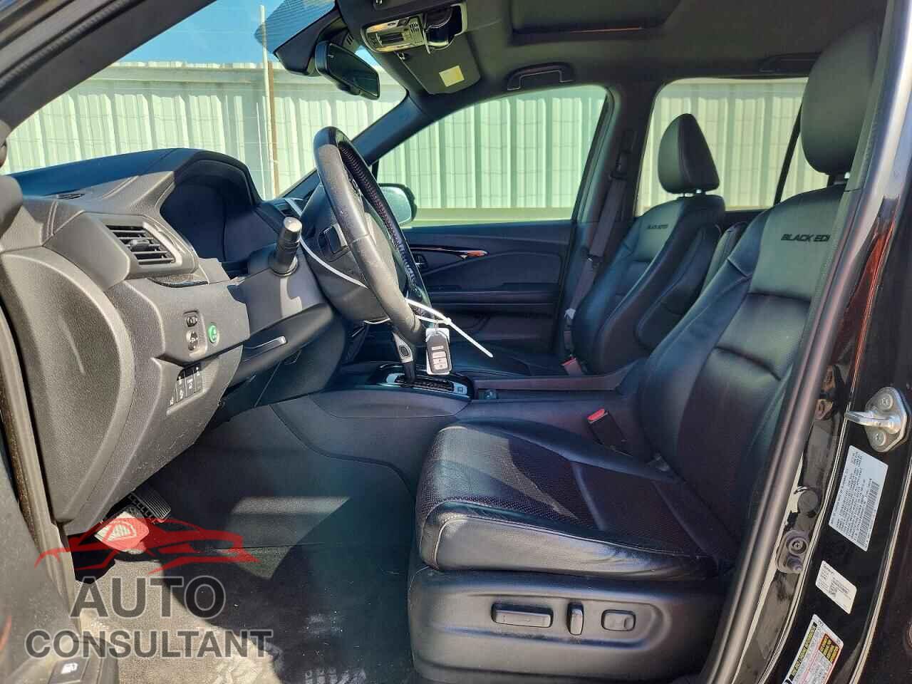 HONDA RIDGELINE 2019 - 5FPYK3F83KB031136