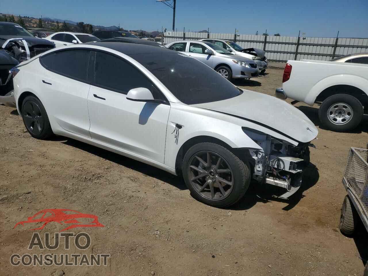 TESLA MODEL 3 2021 - 5YJ3E1EB8MF060260