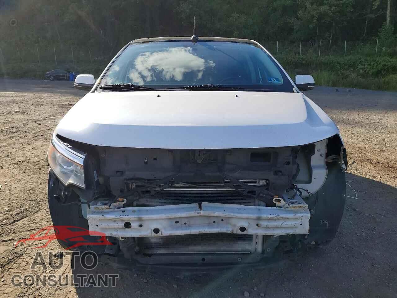 FORD EDGE 2013 - 2FMDK4KC9DBA66931