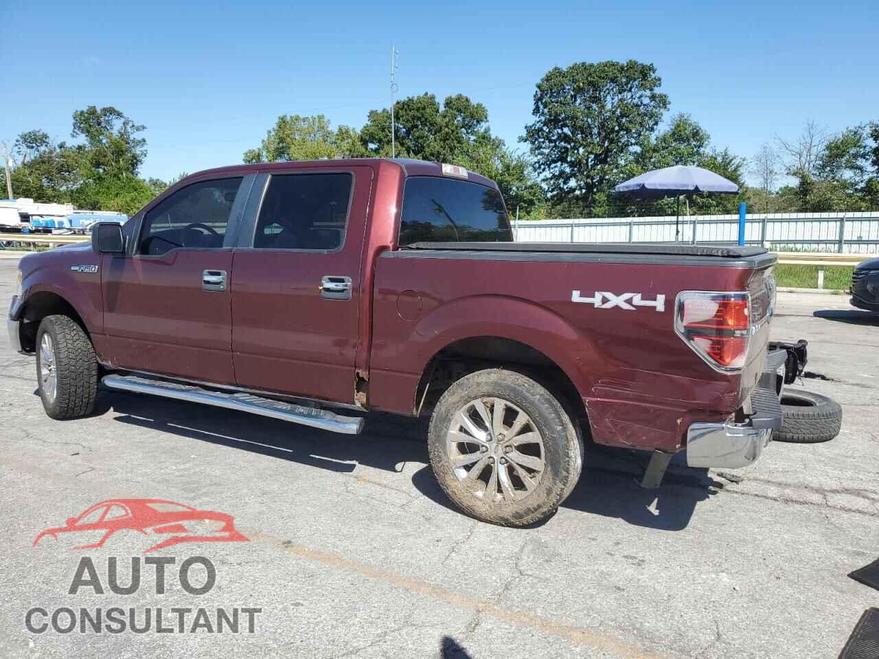 FORD F-150 2010 - 1FTEW1E87AFD25042