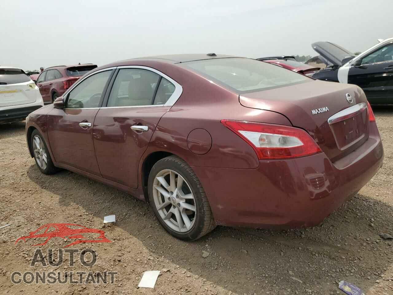 NISSAN MAXIMA 2009 - 1N4AA51E99C826209