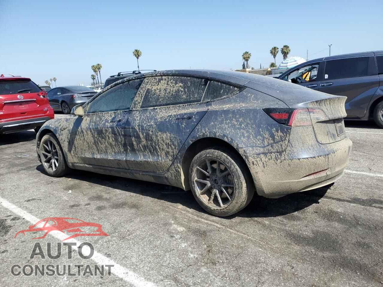 TESLA MODEL 3 2023 - 5YJ3E1EA3PF619158