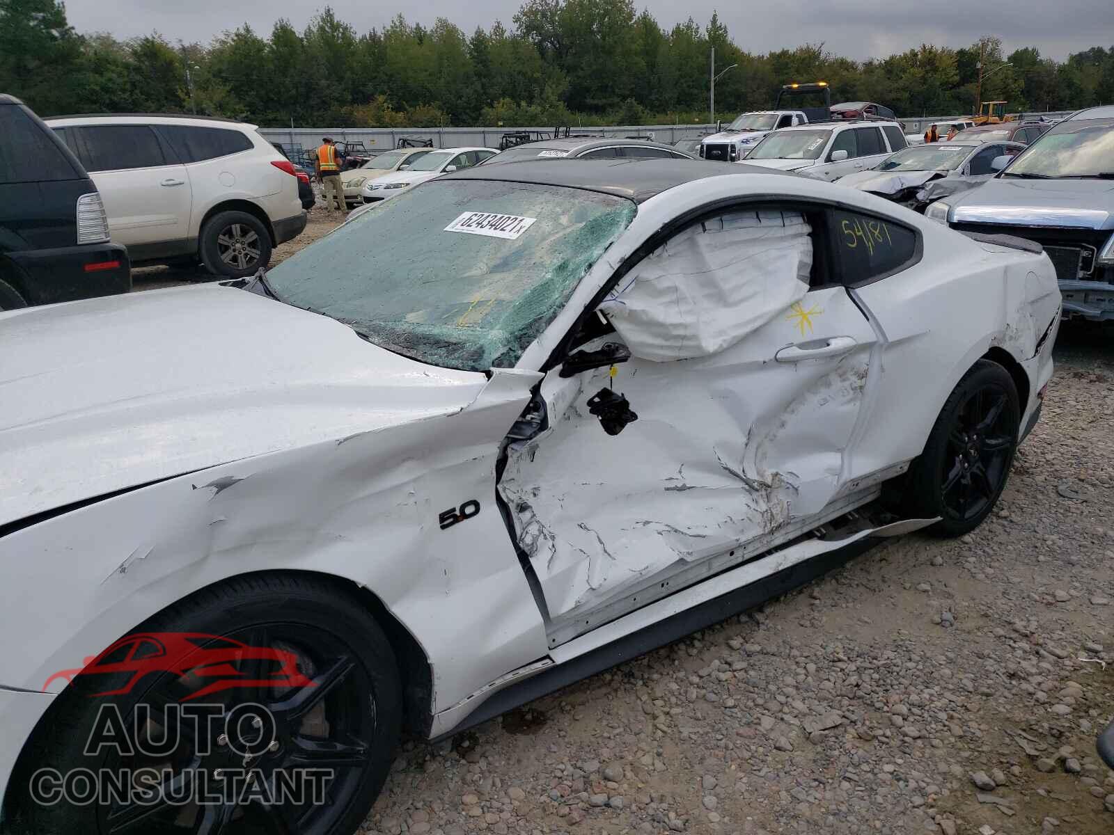 FORD MUSTANG 2019 - 1FA6P8CF7K5114612