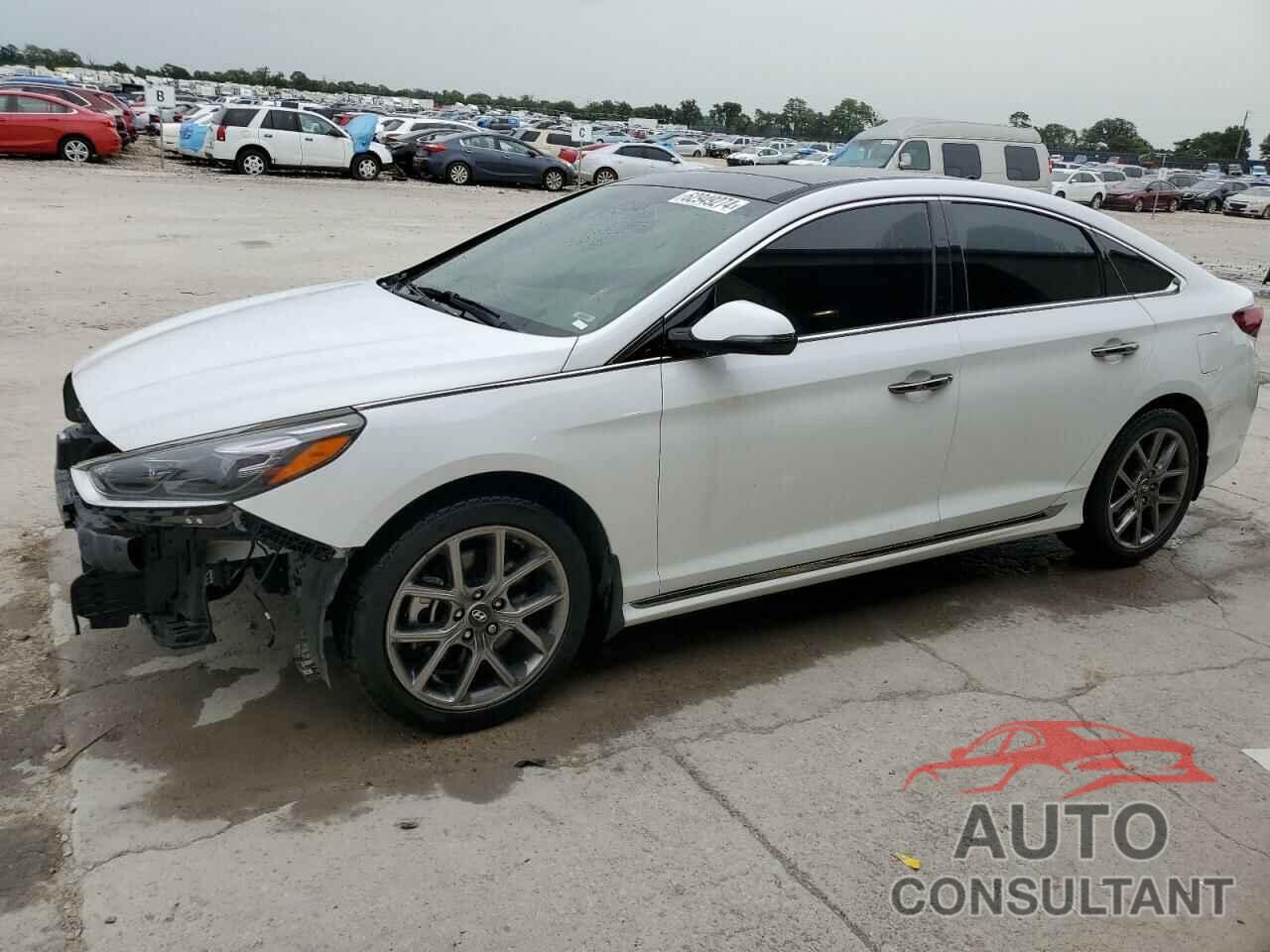 HYUNDAI SONATA 2019 - 5NPE34AB7KH785305