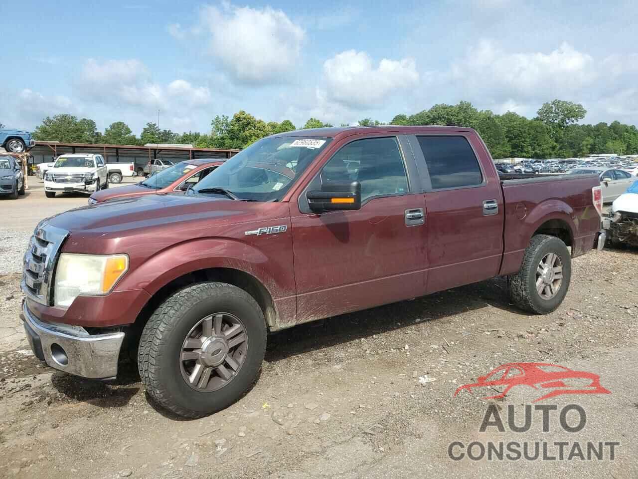 FORD F-150 2010 - 1FTEW1C87AFA58729