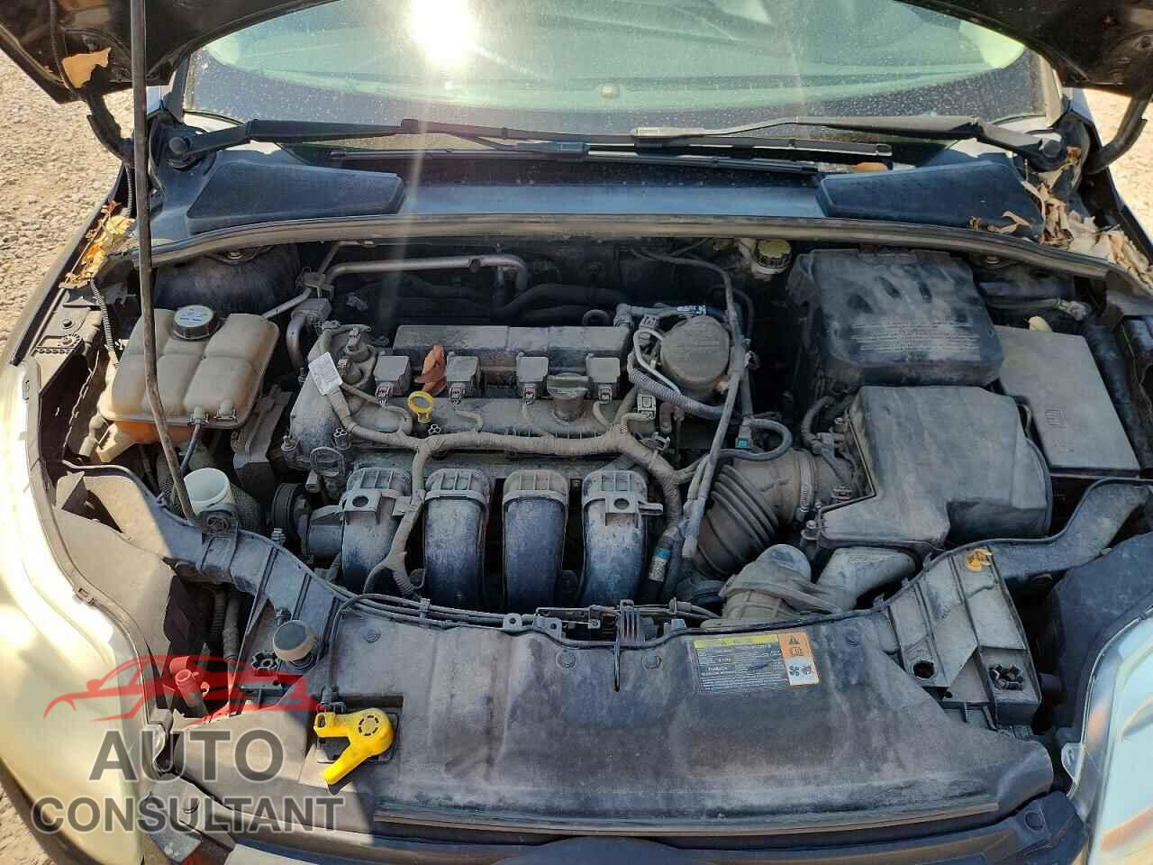 FORD FOCUS 2013 - 1FADP3F2XDL212938