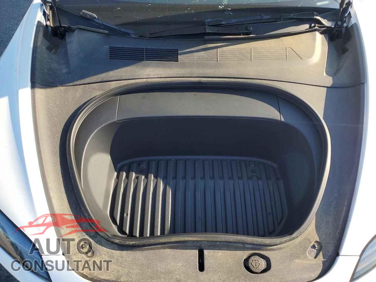 TESLA MODEL 3 2024 - 5YJ3E1EA1RF731248