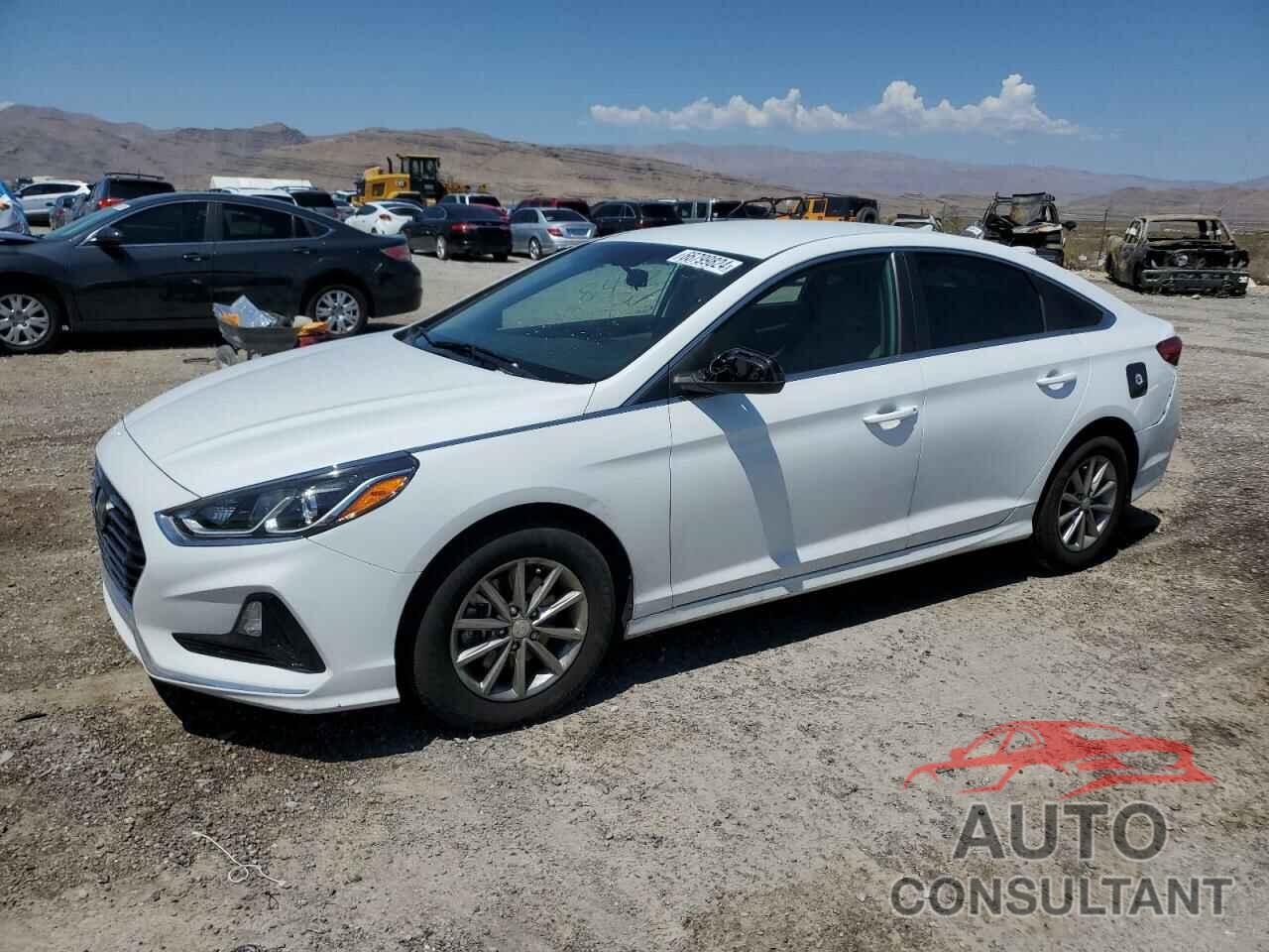 HYUNDAI SONATA 2019 - 5NPE24AF4KH801322