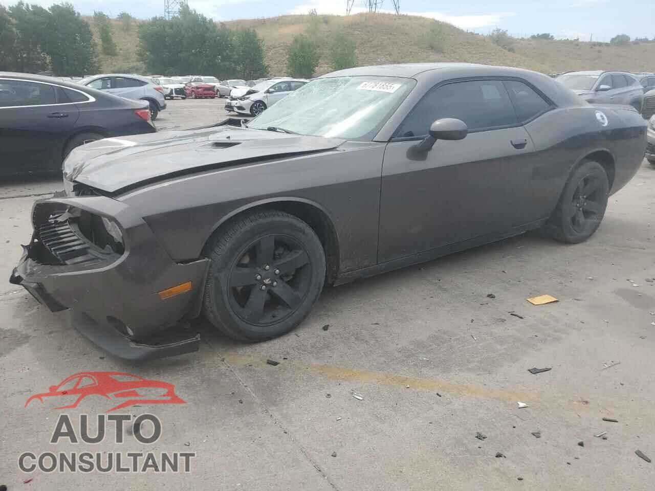 DODGE CHALLENGER 2013 - 2C3CDYAG6DH549087