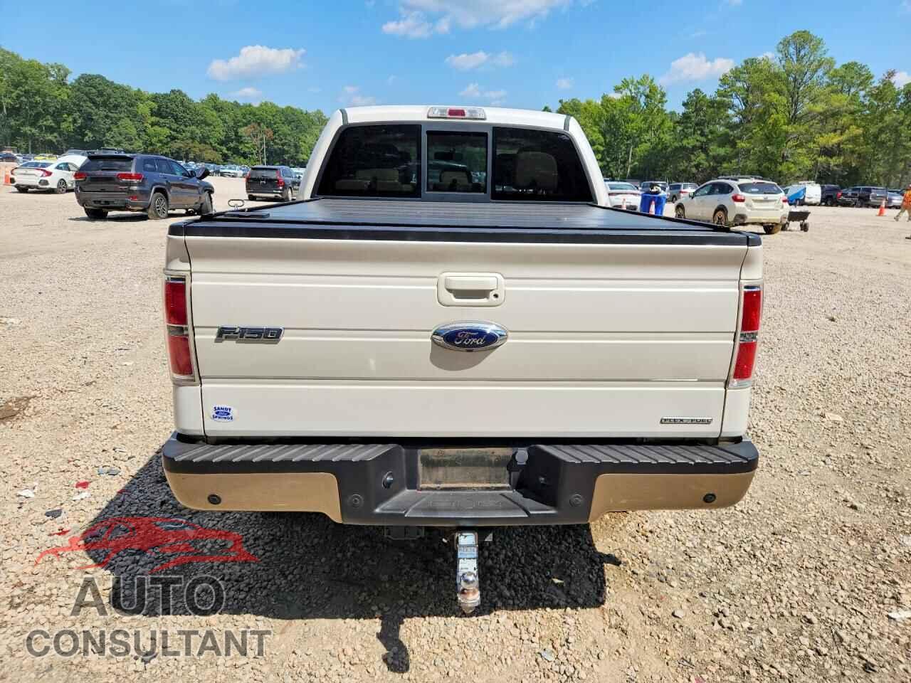 FORD F150 2013 - 1FTFW1EF4DFD00011