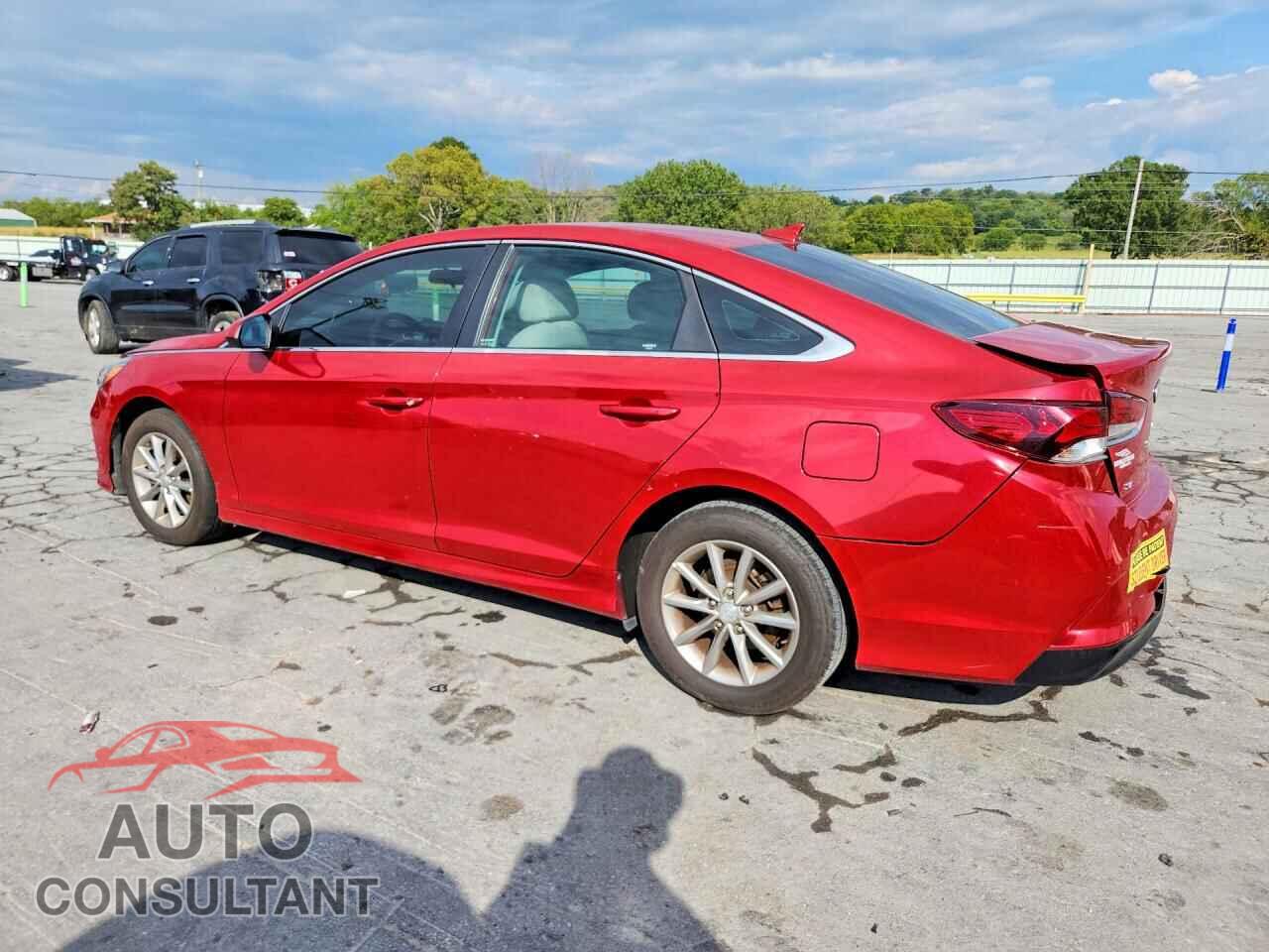 HYUNDAI SONATA 2019 - 5NPE24AF8KH820357
