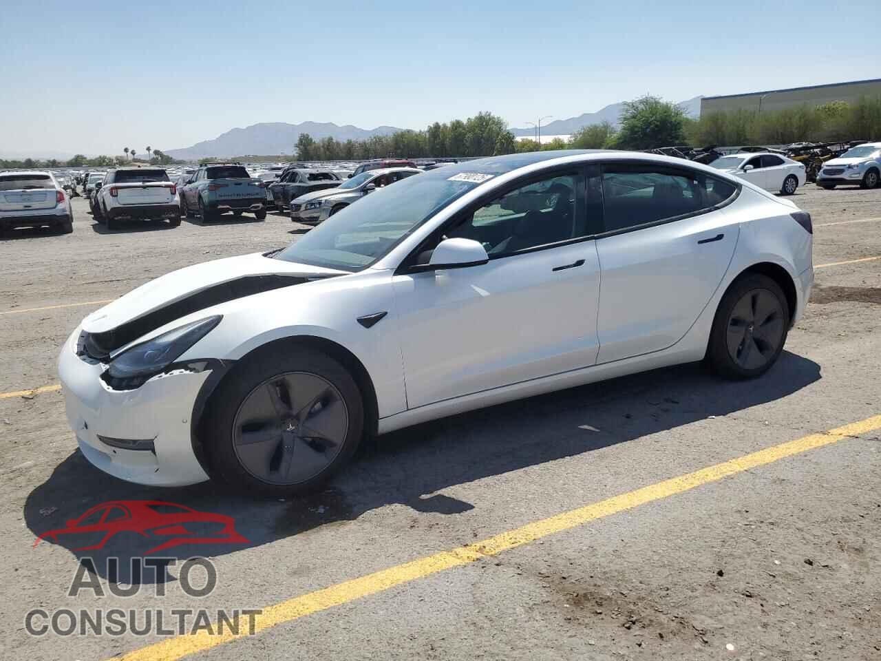 TESLA MODEL 3 2021 - 5YJ3E1EA6MF988981