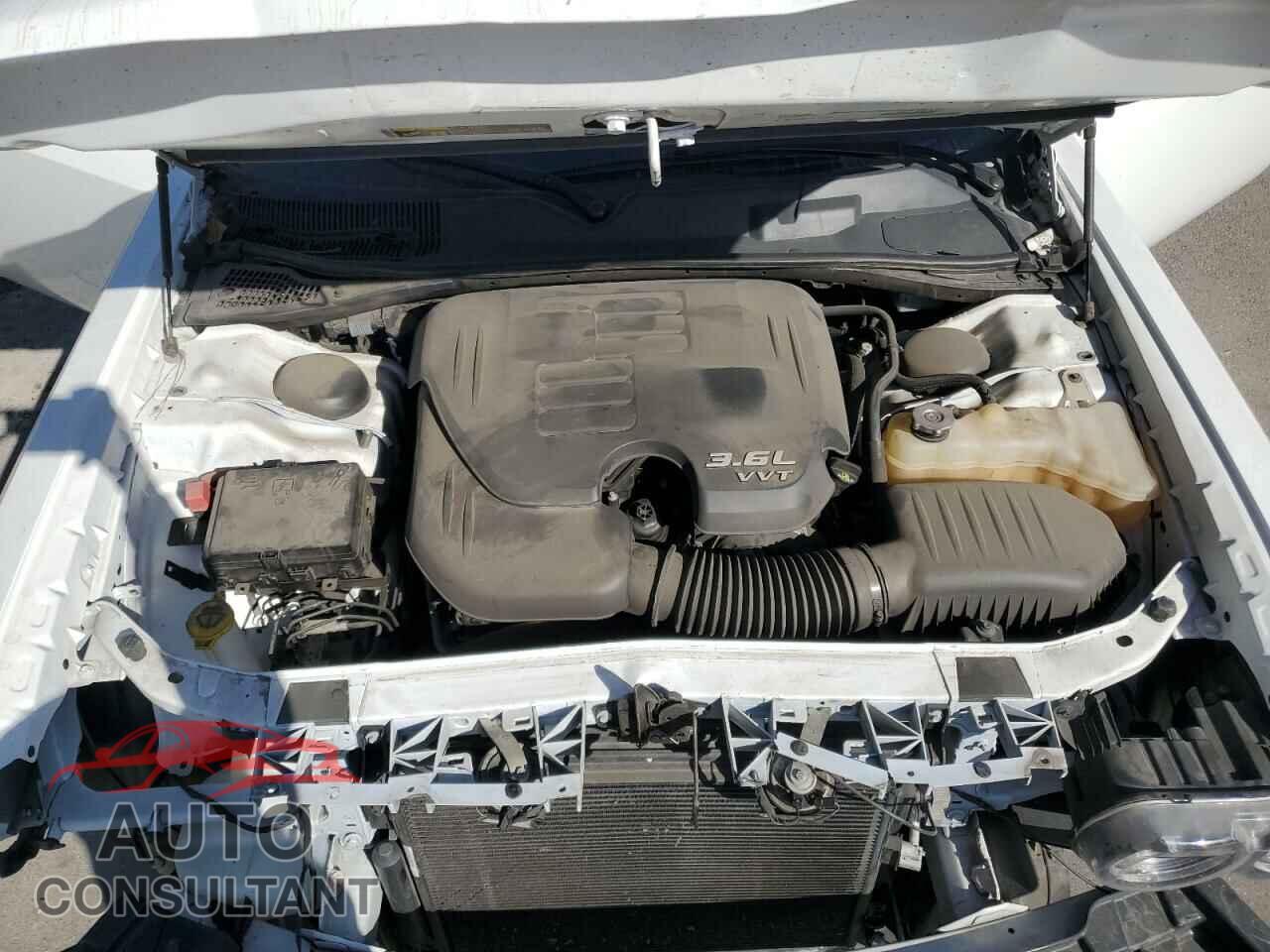 DODGE CHALLENGER 2019 - 2C3CDZAG5KH551710