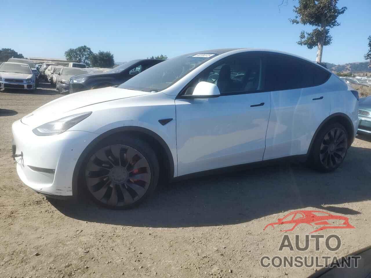 TESLA MODEL Y 2022 - 7SAYGDEF3NF348857