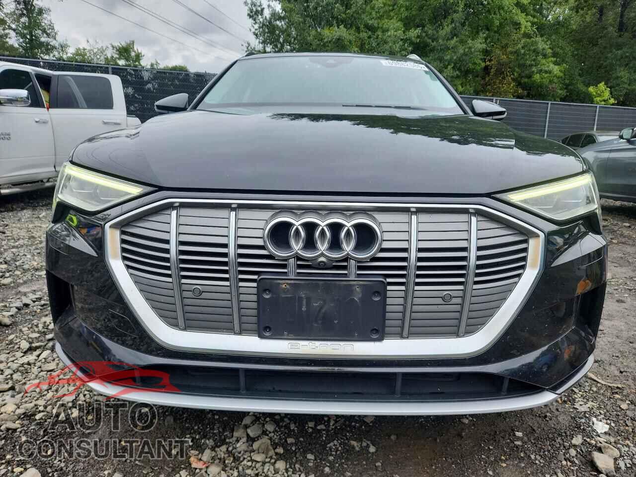 AUDI E-TRON 2019 - WA1VAAGE9KB025085
