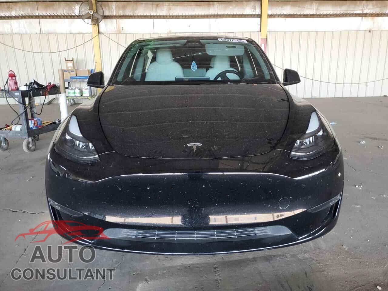 TESLA MODEL Y 2024 - 7SAYGAEE3RF100958