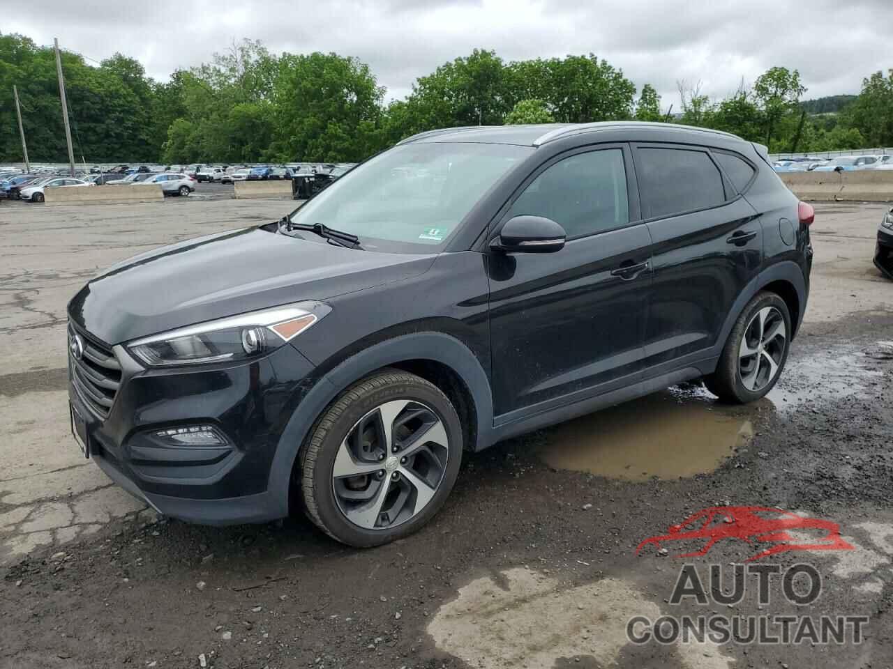 HYUNDAI TUCSON 2016 - KM8J3CA25GU105077