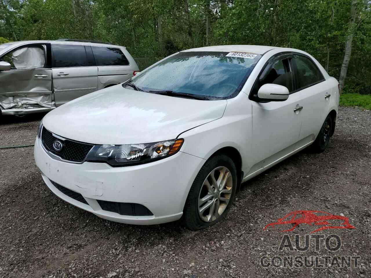 KIA FORTE 2011 - KNAFU4A22B5451942