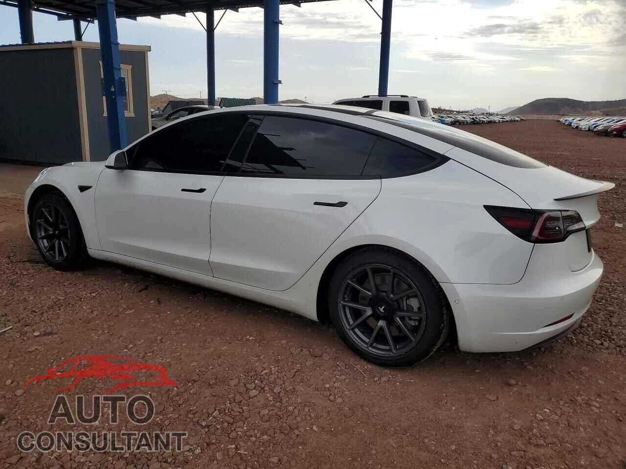 TESLA MODEL 3 2021 - 5YJ3E1EA1MF096010