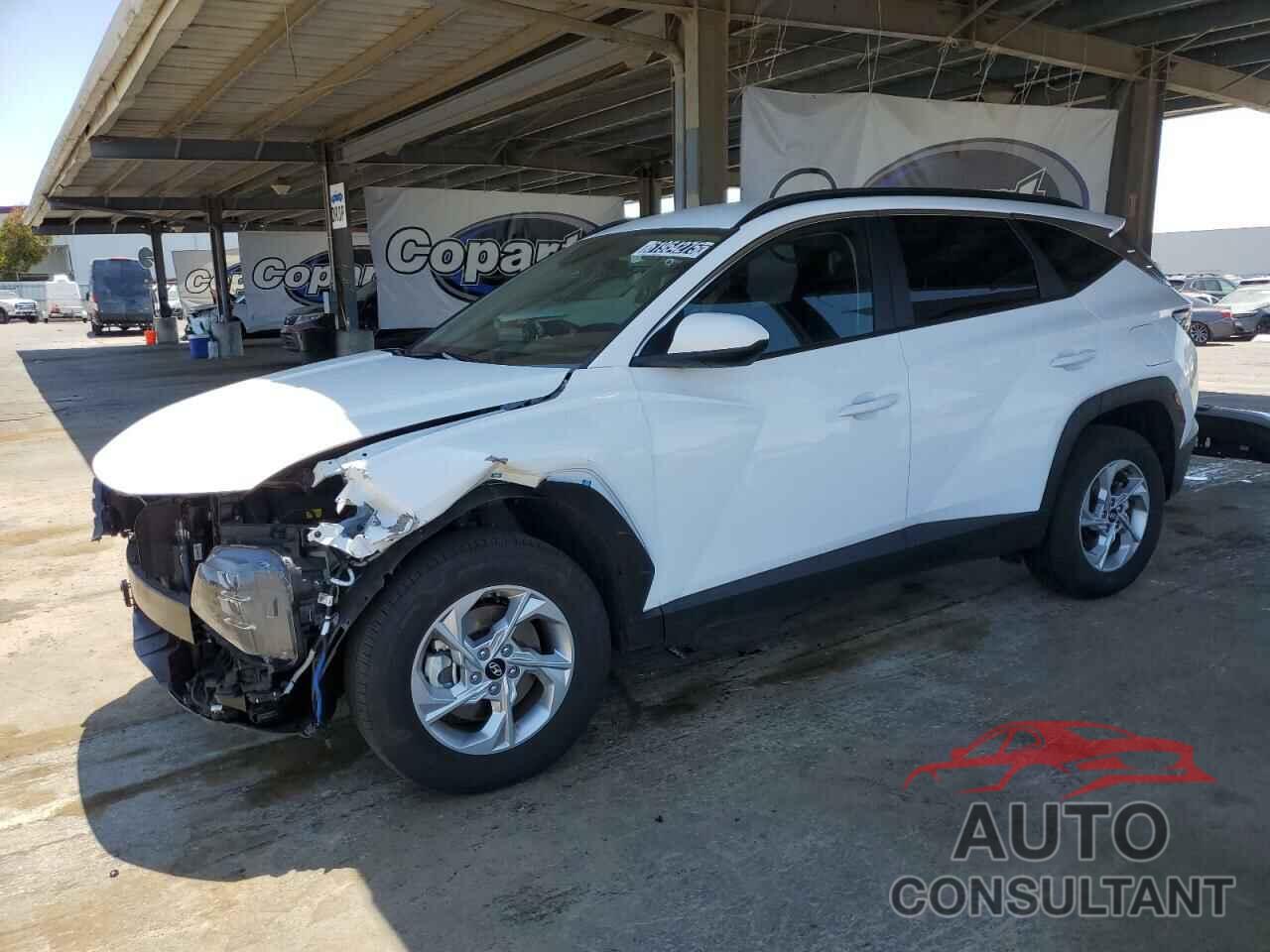 HYUNDAI TUCSON 2024 - 5NMJBCDEXRH420450
