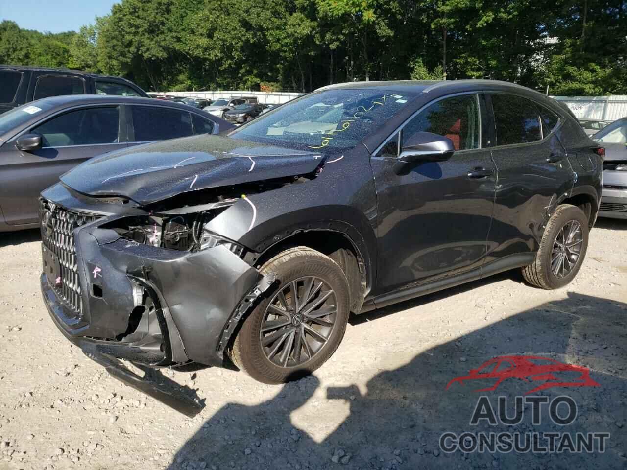 LEXUS NX 350 BAS 2024 - 2T2AGCEZ8RC038227