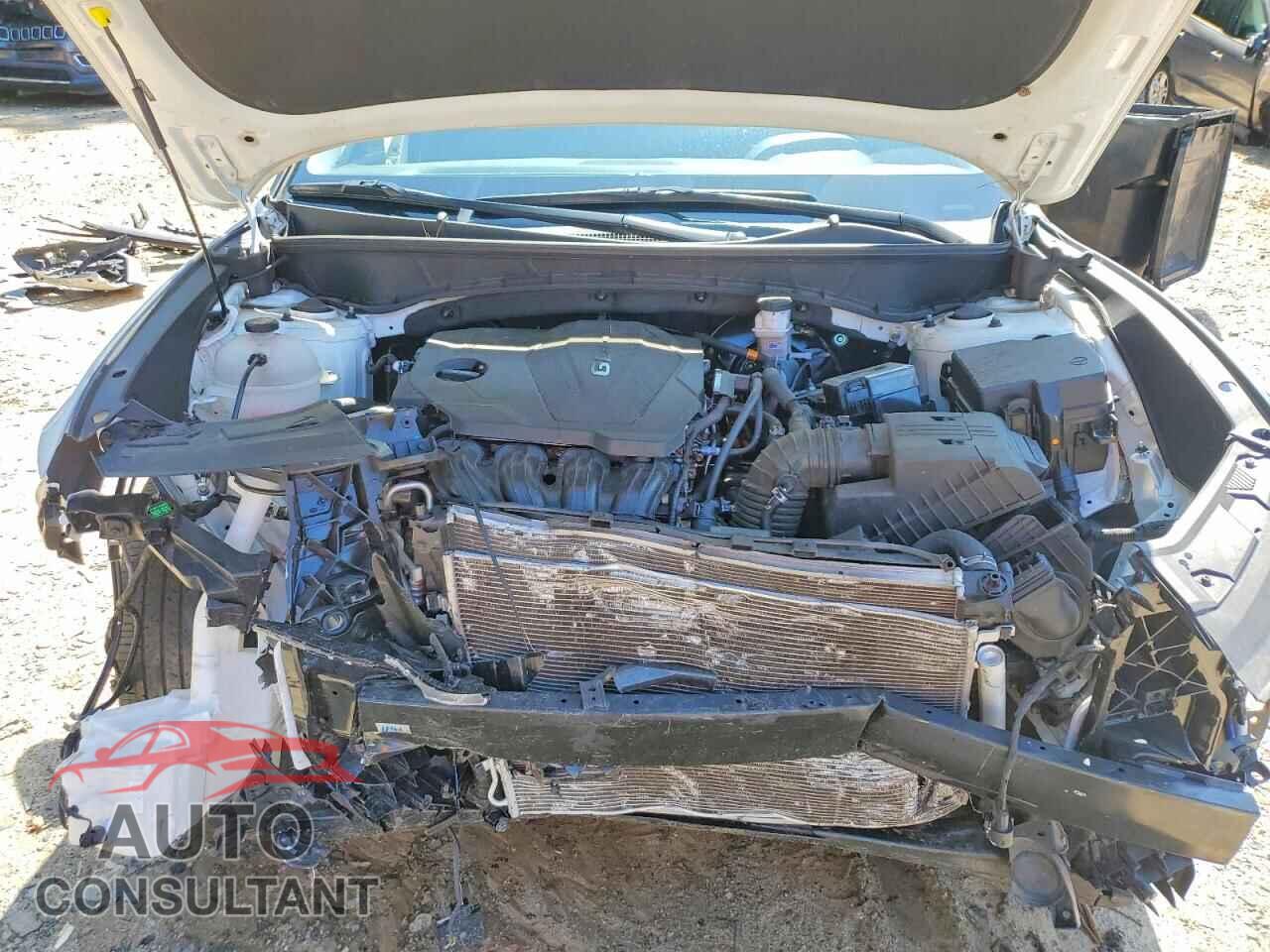 HYUNDAI TUCSON 2024 - 5NMJB3DE9RH395265