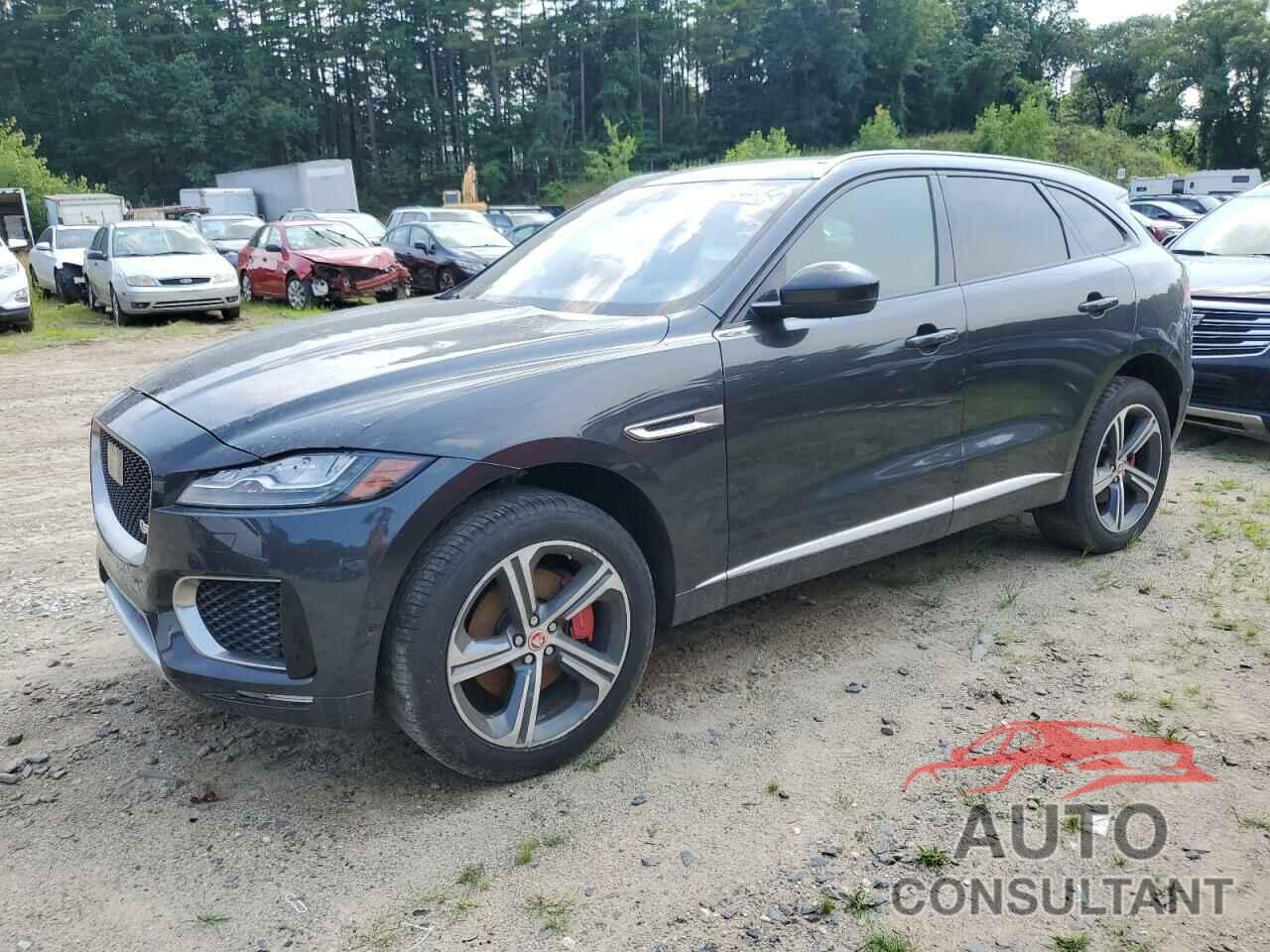 JAGUAR F-PACE 2019 - SADCM2FV4KA395172