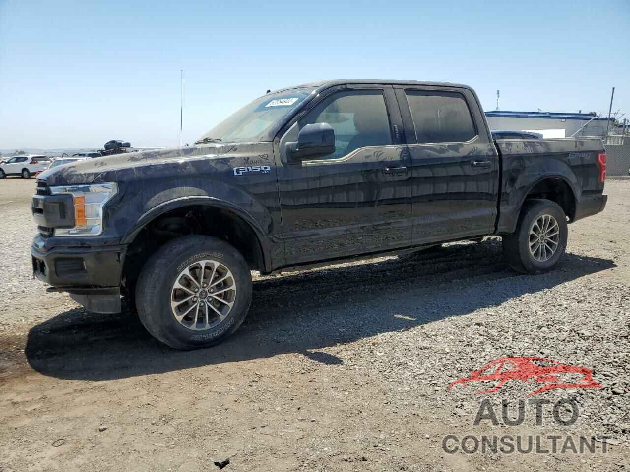 FORD F-150 2019 - 1FTEW1EP2KKC15595