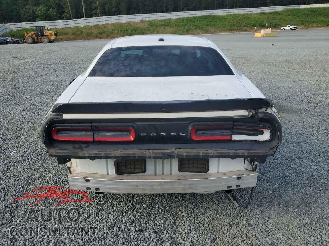 DODGE CHALLENGER 2019 - 2C3CDZAG5KH501311