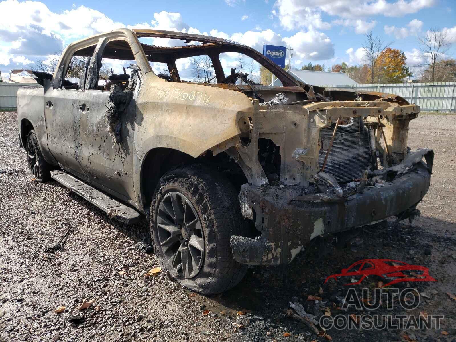 CHEVROLET SILVERADO 2020 - 3GCUYGEL9LG140845
