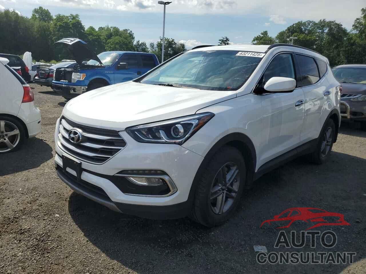HYUNDAI SANTA FE 2017 - 5NMZUDLB2HH008502
